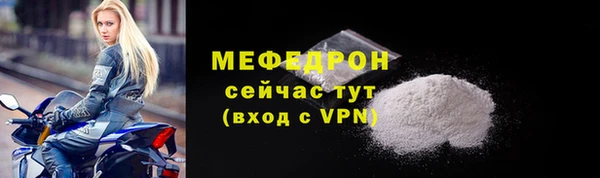 трава Няндома