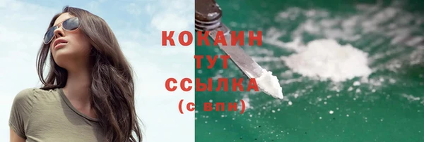 гидра Новодвинск