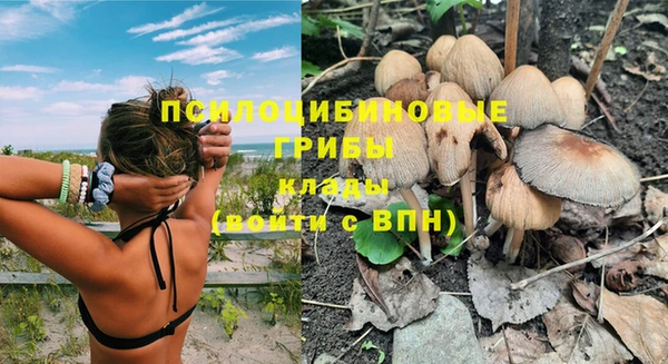 гидра Новодвинск