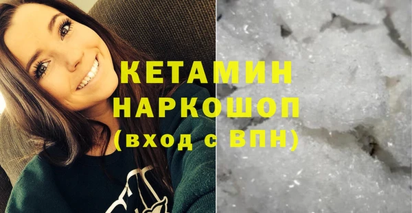 гидра Новодвинск