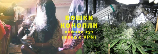 СК Новокубанск