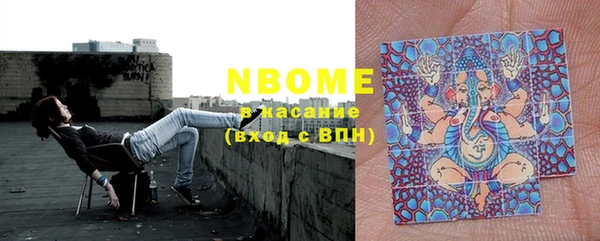 трава Няндома